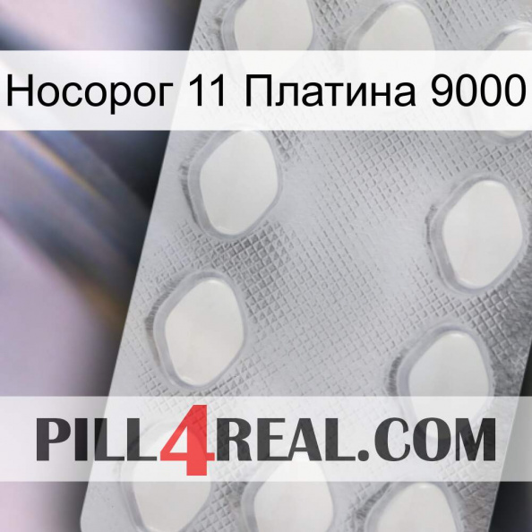 Носорог 11 Платина 9000 16.jpg